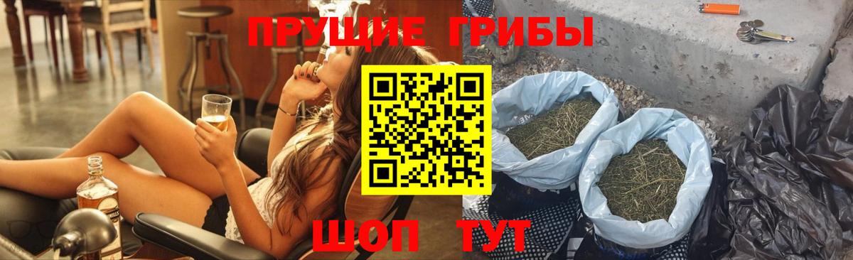 Гусев  Псилоцибиновые грибы прущие грибы  Псилоцибиновые грибы MAGIC MUSHROOMS  Вход с VPN 